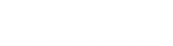 Owala logo in white